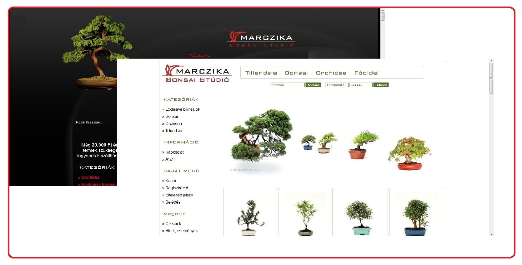 bonsai webaruhaz bonsai webshop internetes bonsai vasarlasi lehetoseg